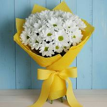 Букет цветов из:  Хризантемы в Елань-Колено