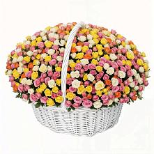 Премиум букет из: Розы в Елань-Колено