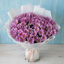 Букет цветов из:  Хризантемы в Елань-Колено