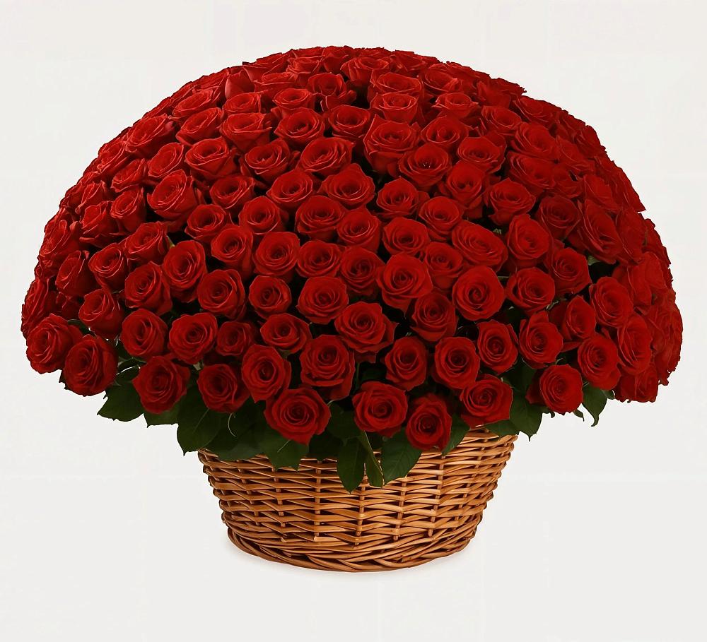 Премиум букет из: Розы в Елань-Колено