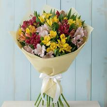 Букет цветов из:  Альстромерии в Елань-Колено