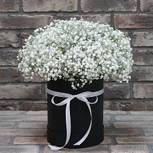 Цветочная композиция из Гипсофила в шляпной коробке в Елань-Колено