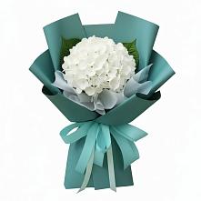 Букет цветов из:  Гортензия в Елань-Колено
